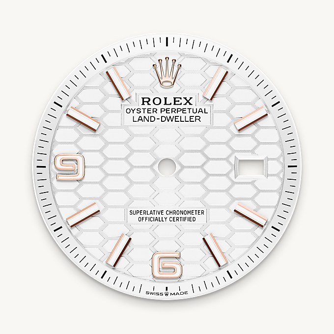 Rolex Land-Dweller 36, Esfera blanco intenso