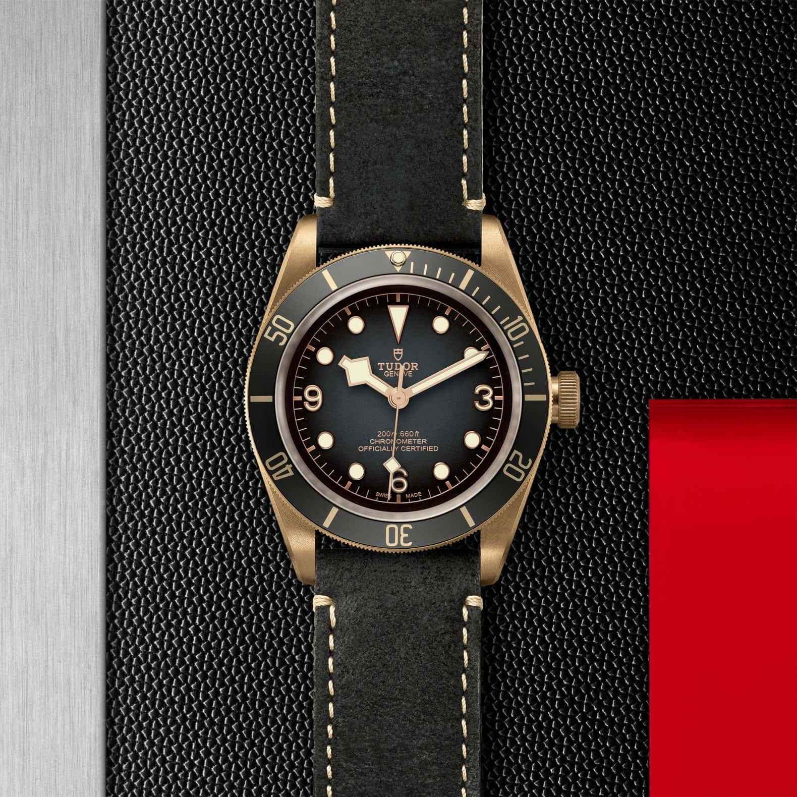 Black Bay Bronze - Imagen 2