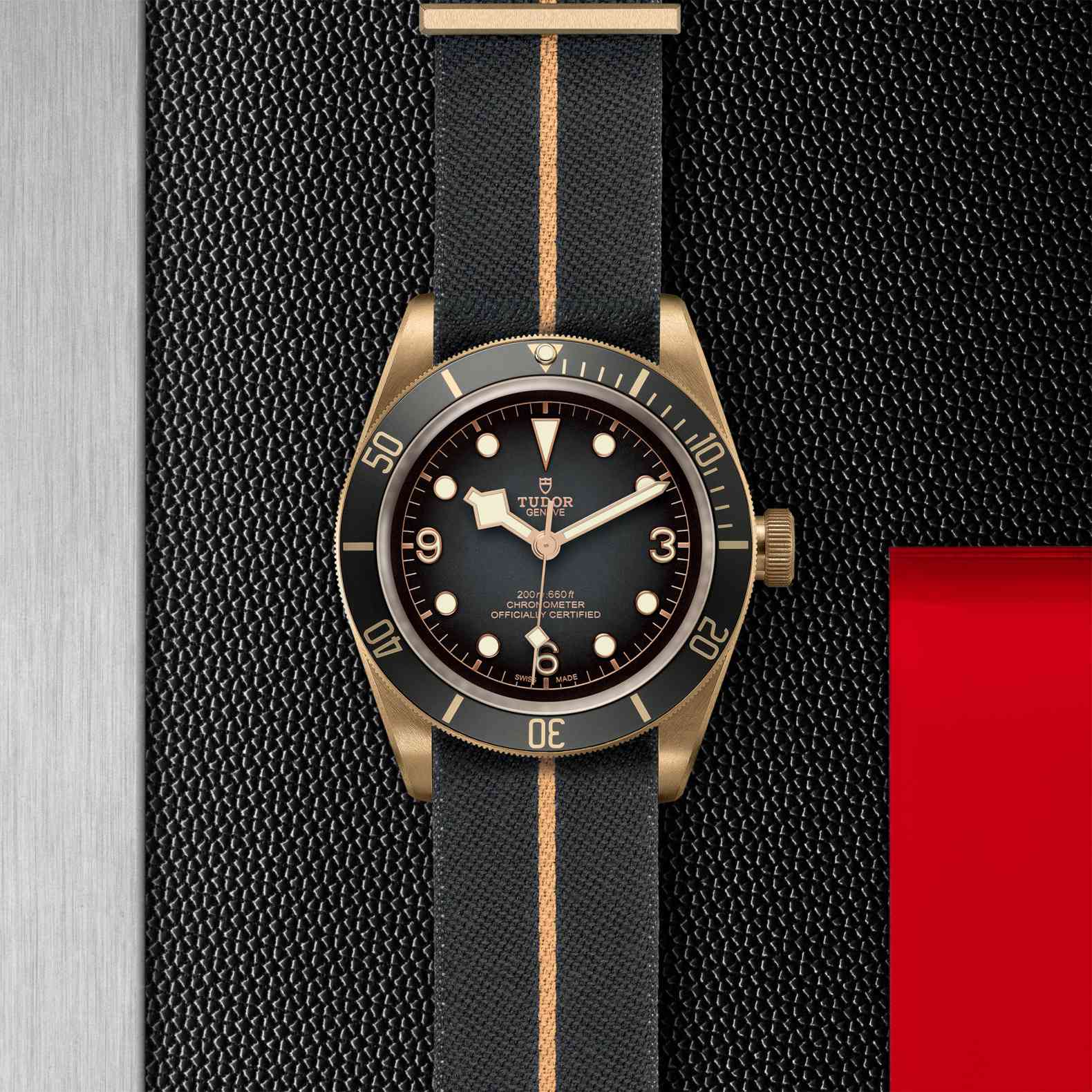 Black Bay Bronze - Imagen 2